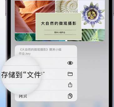 涿鹿apple维修中心分享iPhone文件应用中存储和找到下载文件