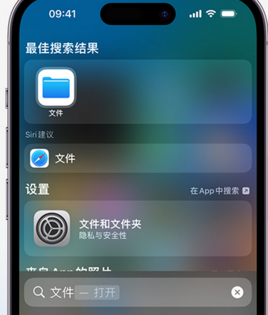 涿鹿apple维修中心分享iPhone文件应用中存储和找到下载文件