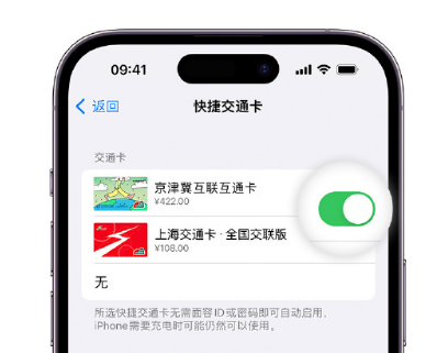 涿鹿apple维修点分享iPhone上更换Apple Pay快捷交通卡手绘卡面 