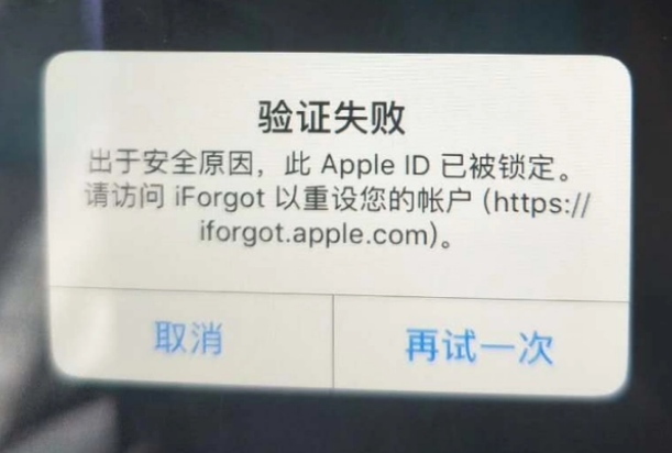 涿鹿iPhone维修分享iPhone上正常登录或使用AppleID怎么办 