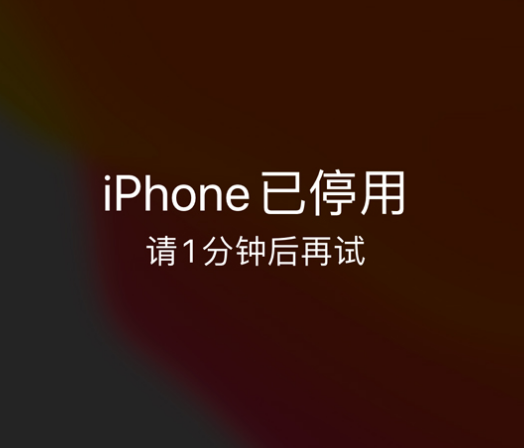 涿鹿苹果手机维修分享:iPhone 显示“不可用”或“已停用”怎么办？还能保留数据吗？ 