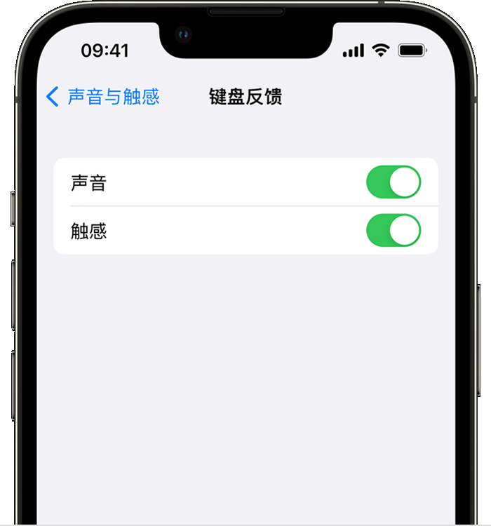 涿鹿苹果14维修店分享如何在 iPhone 14 机型中使用触感键盘 