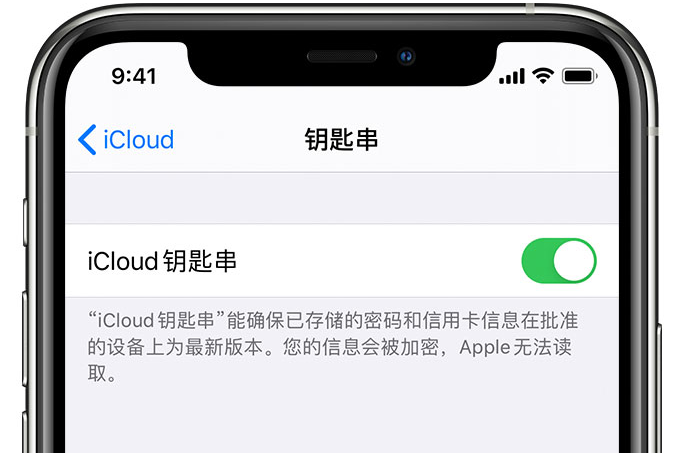 涿鹿苹果手机维修分享在 iPhone 上开启 iCloud 钥匙串之后会储存哪些信息 