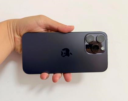 涿鹿苹果维修点分享iPhone 14 Pro Max发烫多重诱因剖析 